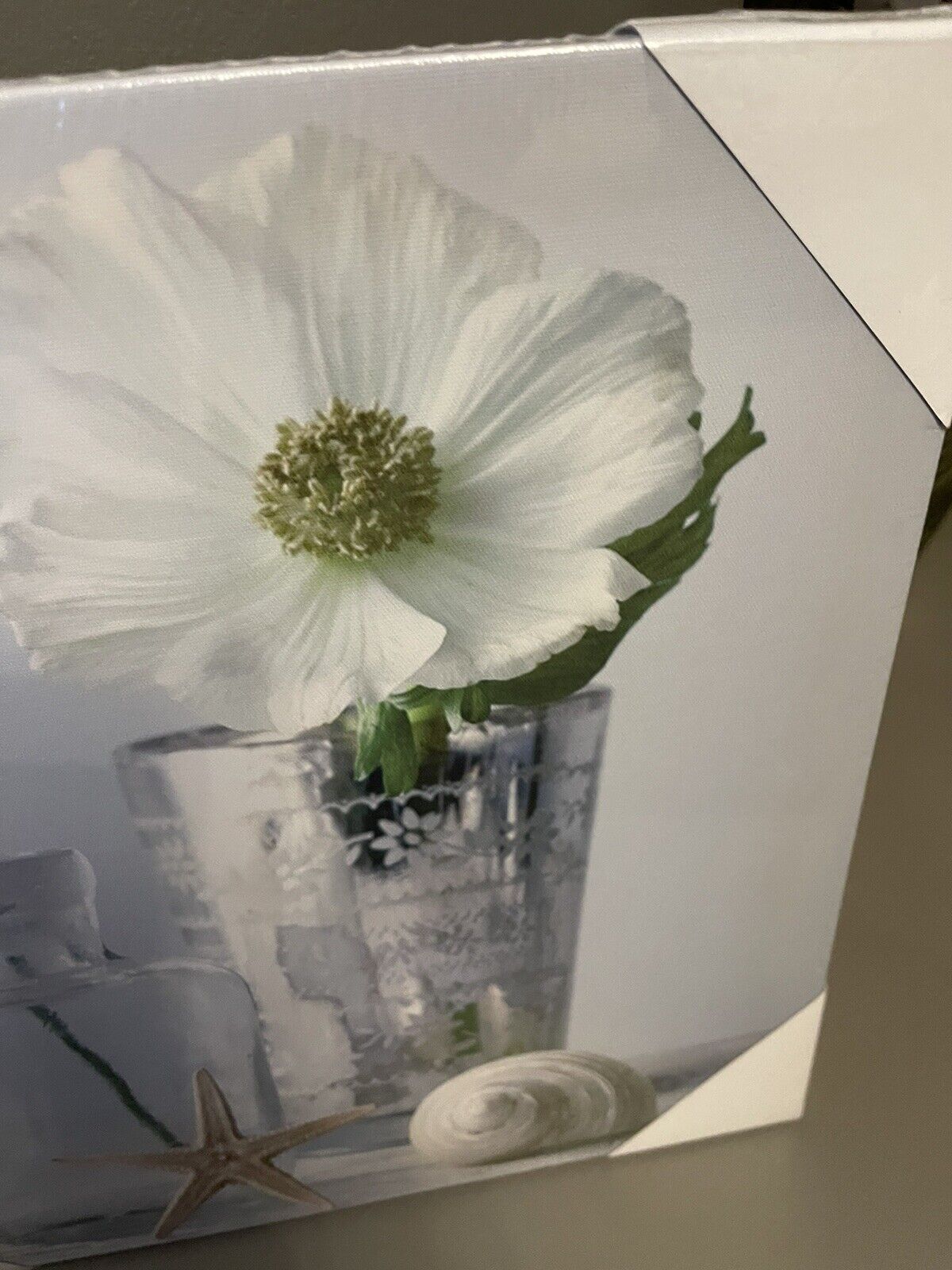 Flower in Glass Bottle Printed Canvas Wall Art Hanging Picture 30cm RRP £15