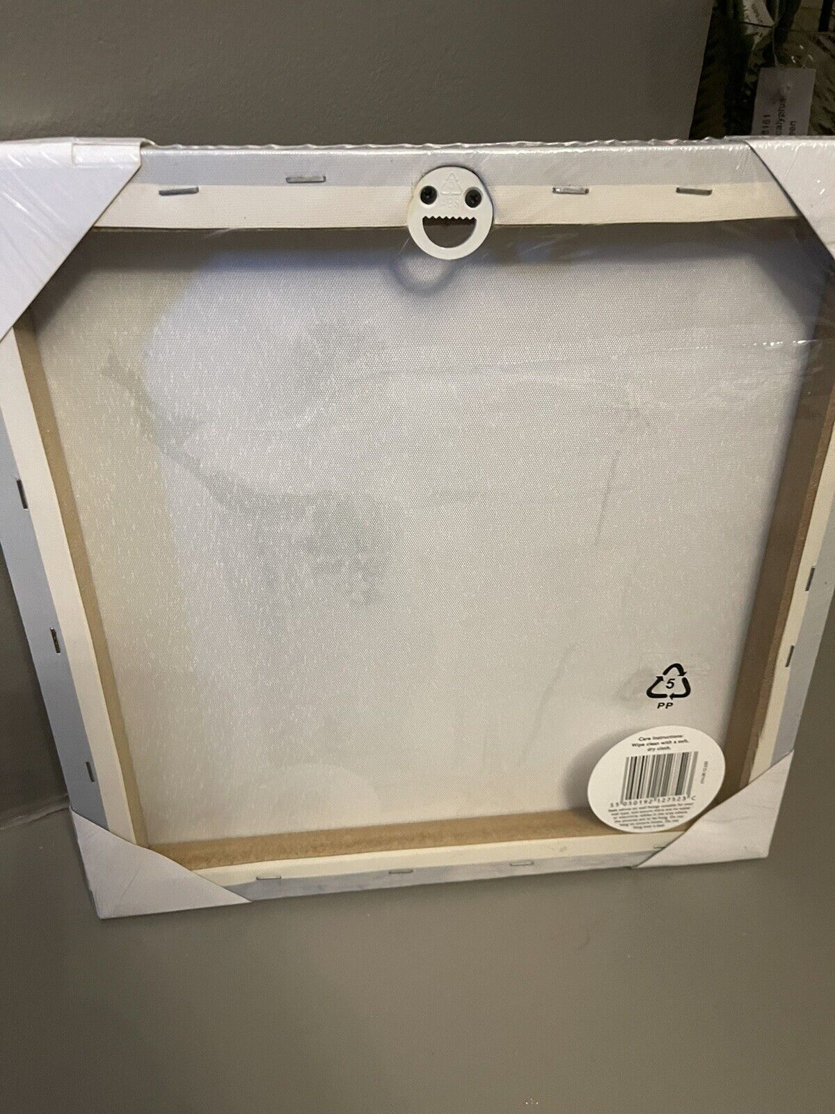 Flower in Glass Bottle Printed Canvas Wall Art Hanging Picture 30cm RRP £15