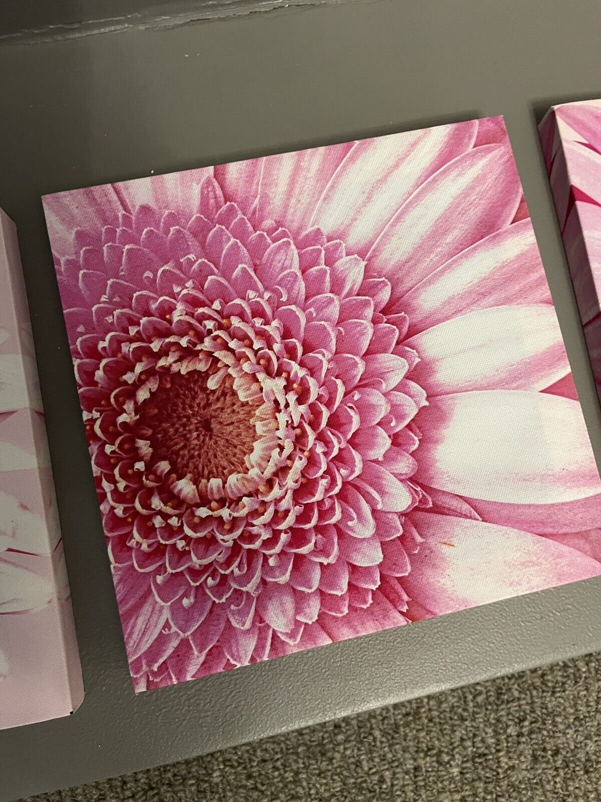 Set of 3 Pink Flower Floral Printed Wall Art Canvas Pictures RRP £20.00