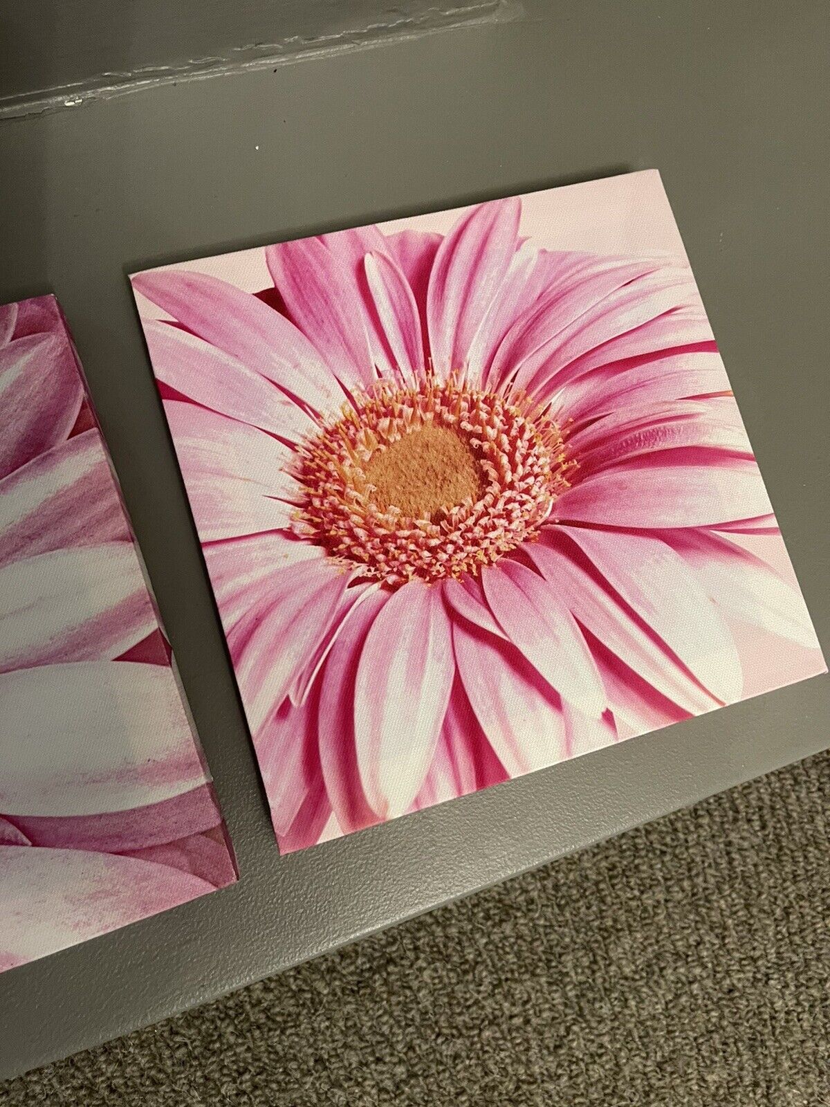 Set of 3 Pink Flower Floral Printed Wall Art Canvas Pictures RRP £20.00