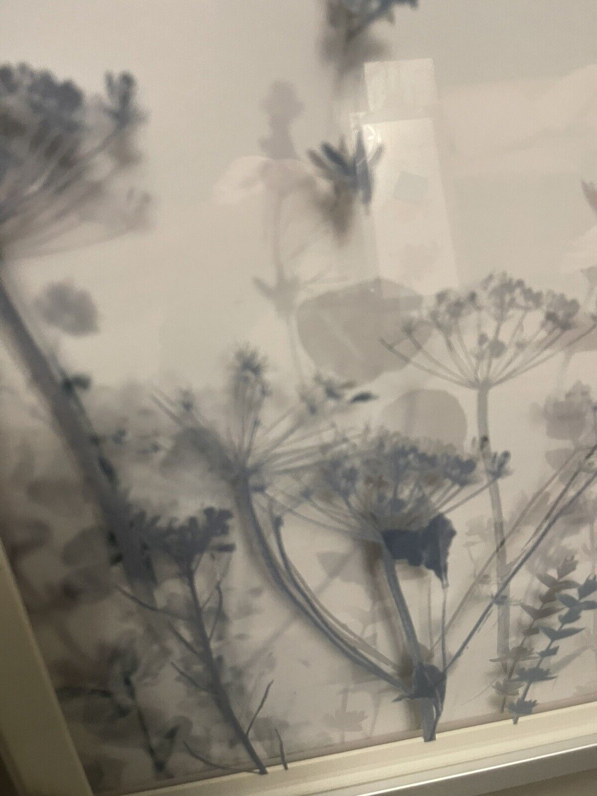 Botanical Layered Floral Glass Framed Hanging Wall Art Print Home Decor  RRP £40