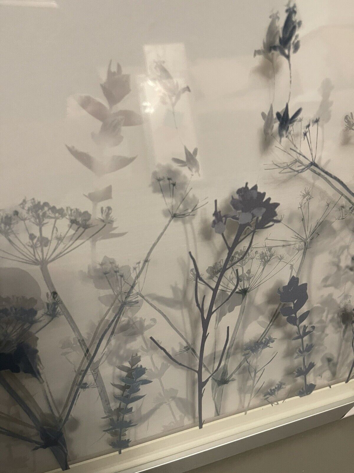 Botanical Layered Floral Glass Framed Hanging Wall Art Print Home Decor  RRP £40