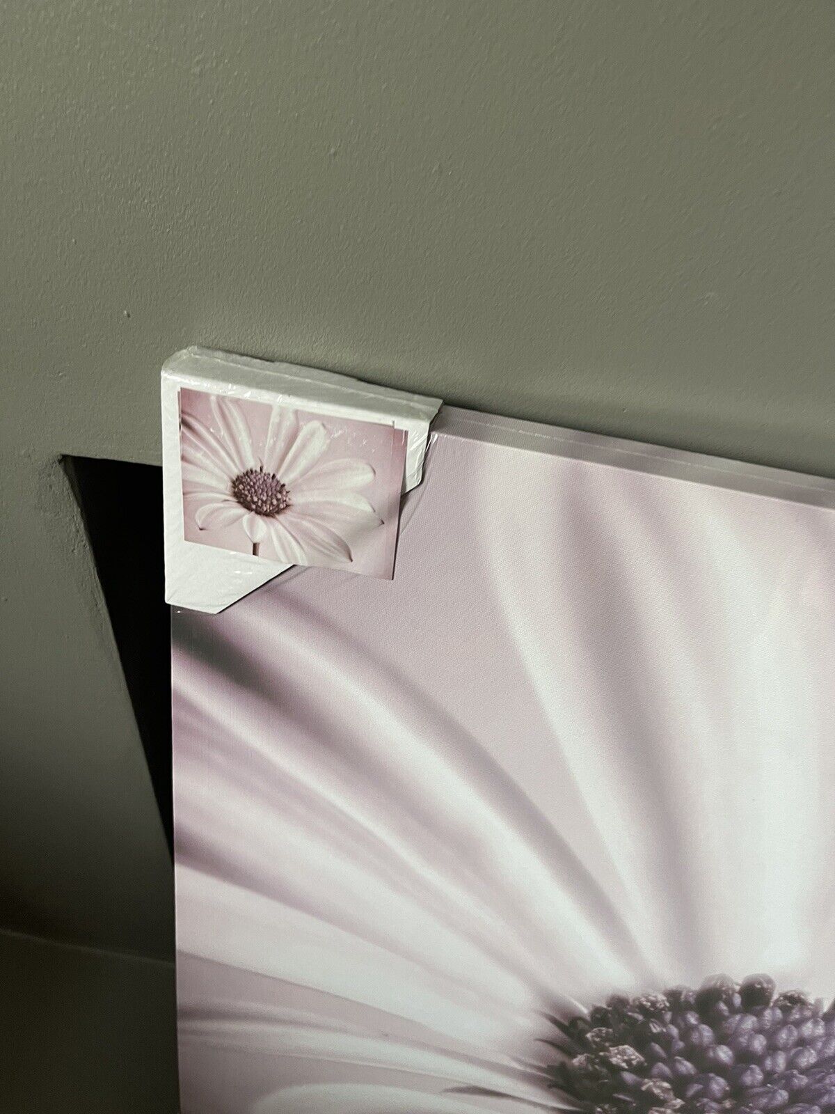 Dusky Pink Large Flower Canvas Wall Art Hanging Picture 60 X 90 RRP £49