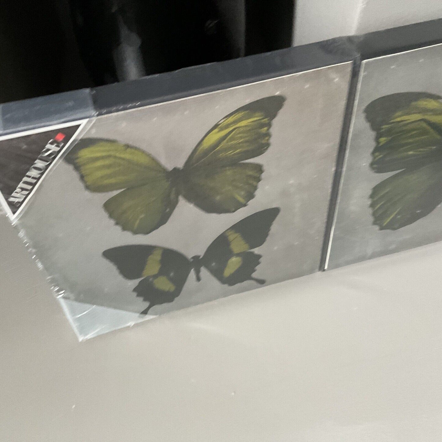 Green Butterfly Canvas Set of 3 Each  Size 25 X 25 Home Decorative Gift RRP £35