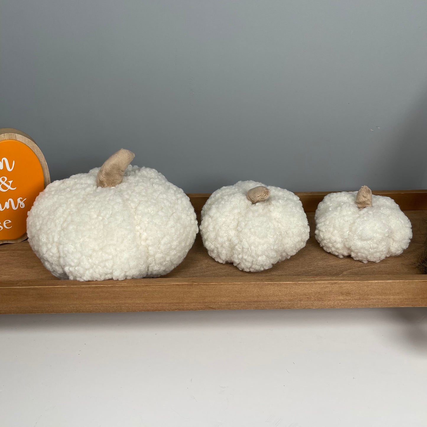 White Sherpa Pumpkin