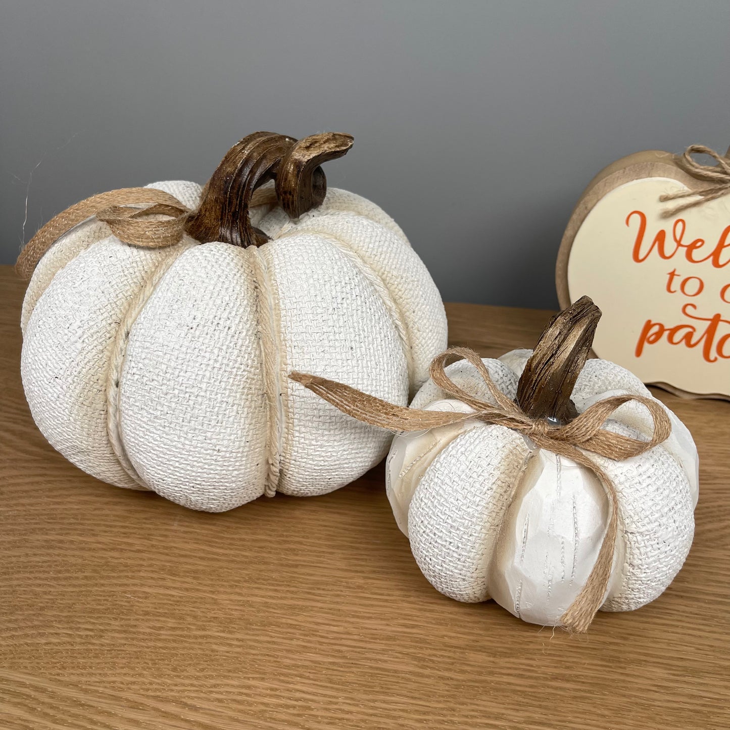 White Textured Pumpkin with Twisted Stem