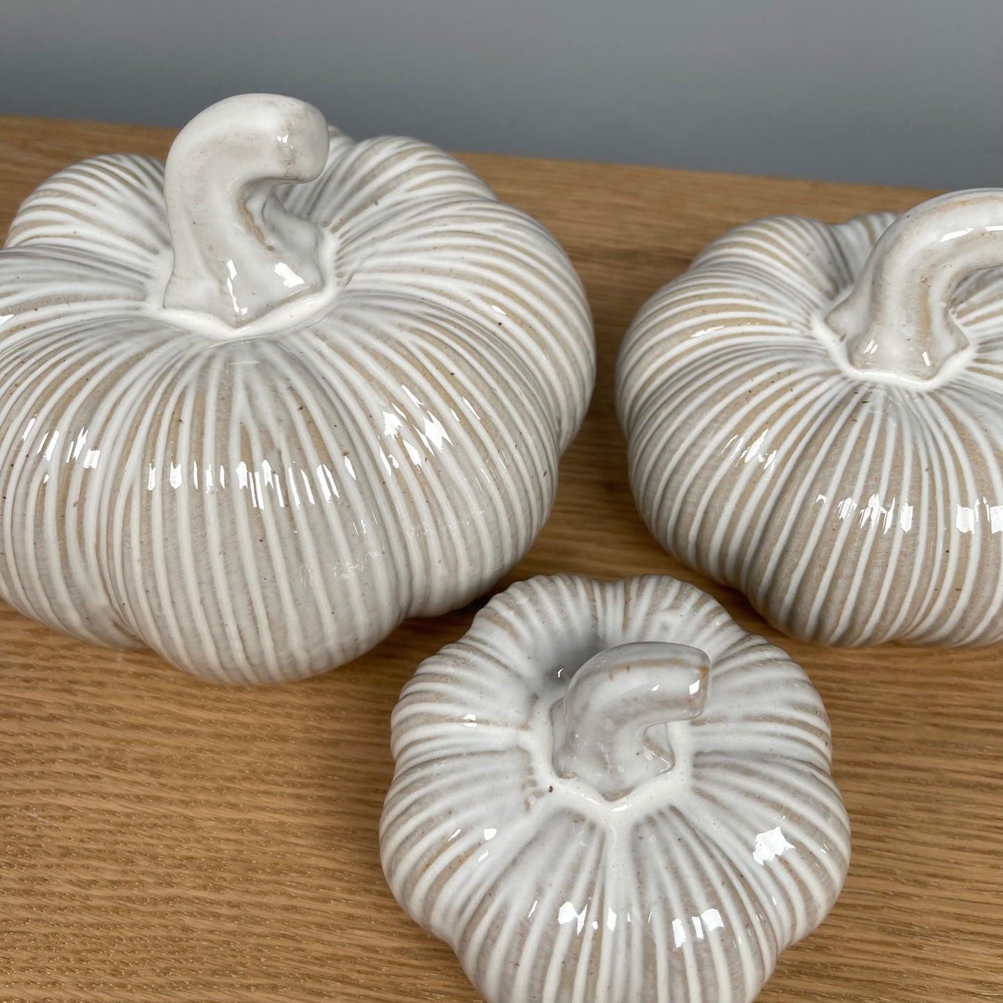 Distressed Ribbed Pumpkin - in 3 Sizes