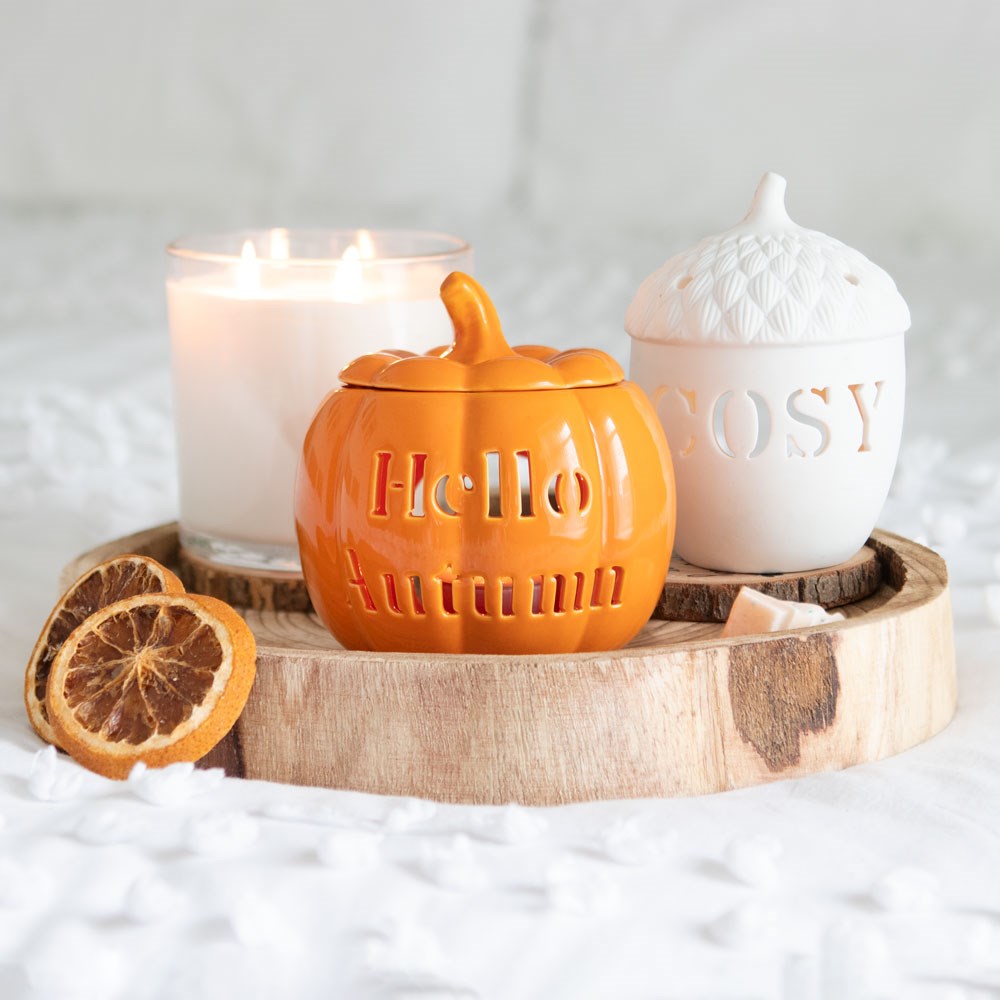 Hello Autumn Orange Pumpkin  Oil Burner Wax Melter