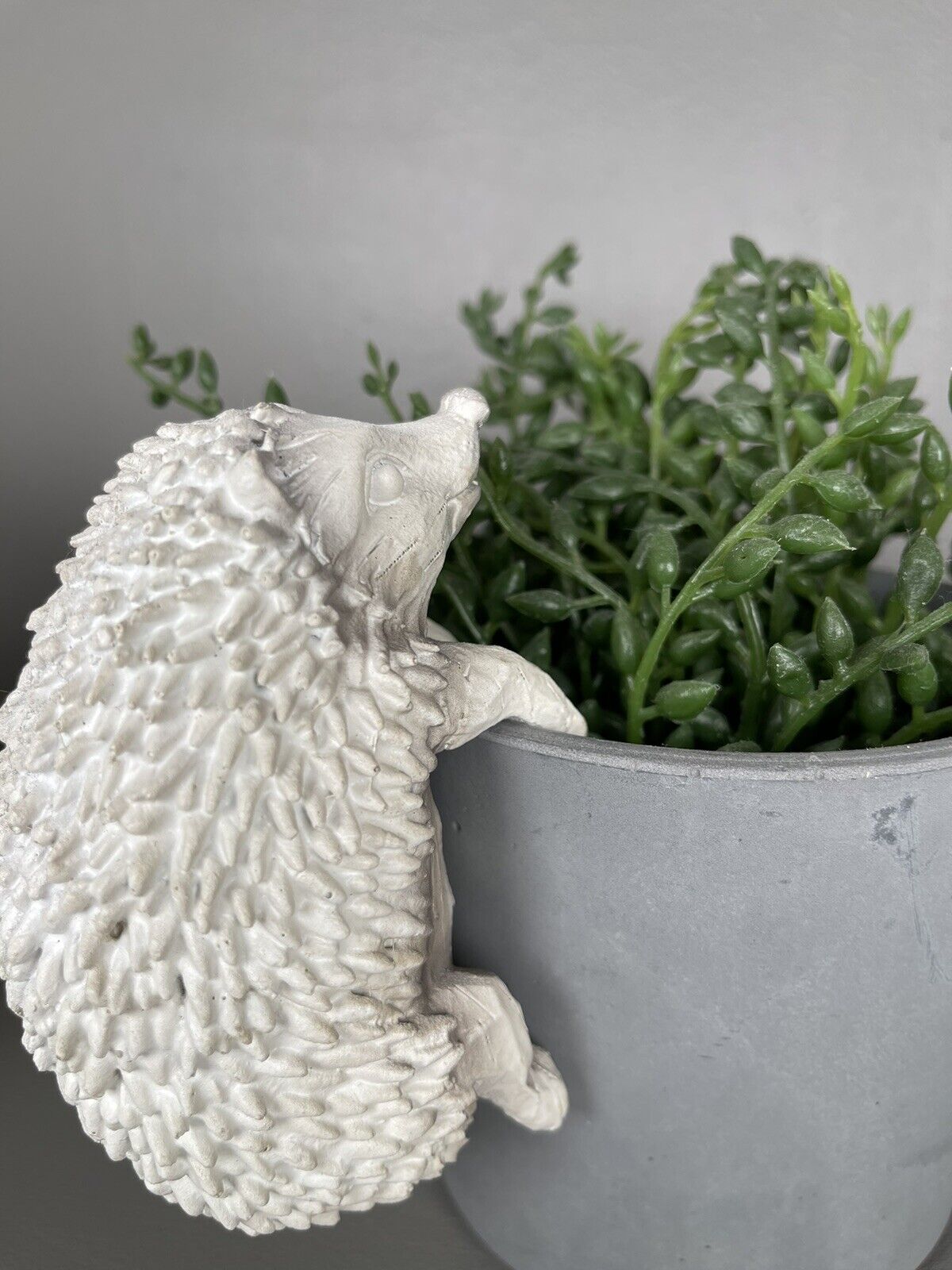Hedgehog Pot Hanger
