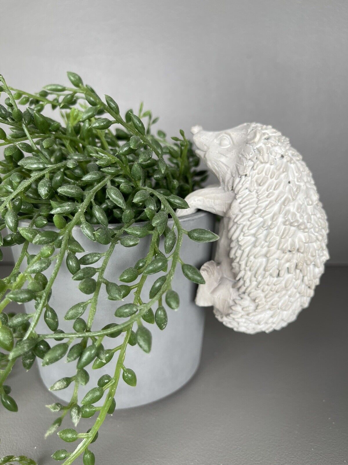 Hedgehog Pot Hanger
