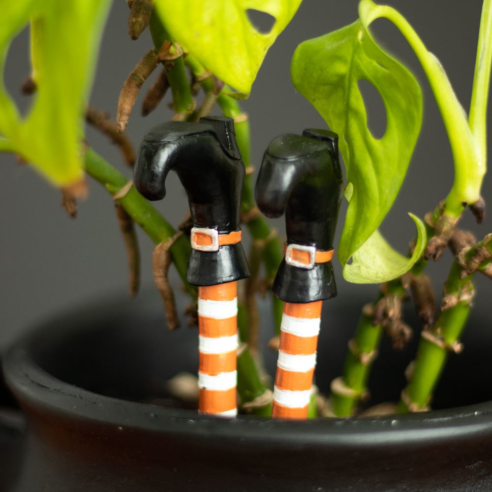 Witch Leg Plant Ornaments
