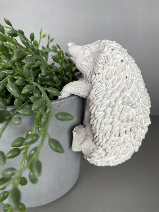 Hedgehog Pot Hanger
