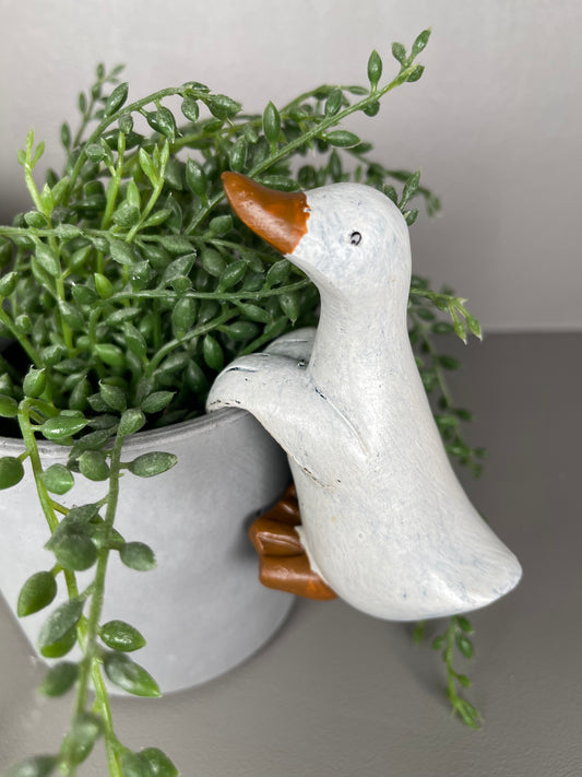 Duck Pot Hanger